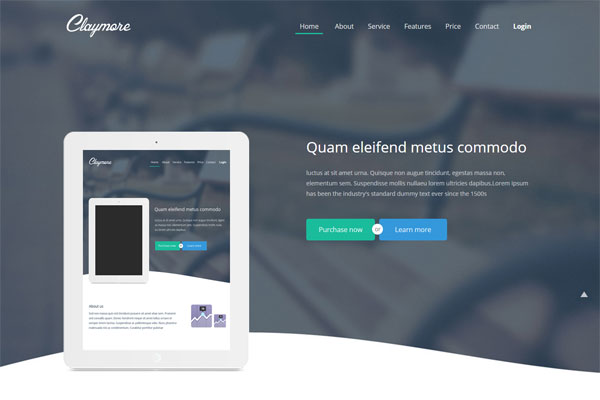 ddos在线攻击测试网站